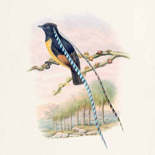 Falinaptár képes lemeznaptár 300x300mm, Birds in Art Realsystem 2027.