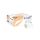 Kéztörlő 1 rétegű V hajtogatott 250 lap/csomag 25 x 21,5 cm 20 csomag/karton Easy Beige V 250 Lucart_863064 bézs