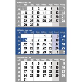   Falinaptár speditőr 1 tömbös 12 lapos 300mmx480mm, üres fejlappal kék Realsystem 2027.