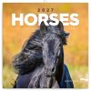 Falinaptár képes lemeznaptár 300x300mm, Horses – Christiane Slawik Realsystem 2027.