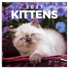Falinaptár képes lemeznaptár 300x300mm, Kittens Realsystem 2027.