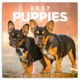   Falinaptár képes lemeznaptár 300x300mm, Puppies Realsystem 2027.