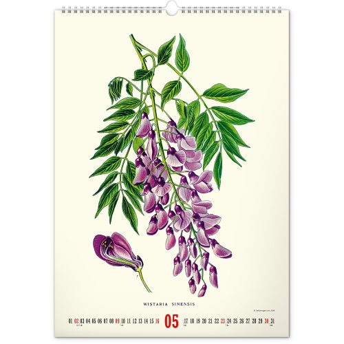 Falinaptár képes  330×460mm Vintage Posters-Herbarium Realsystem 2027.