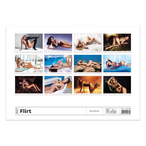 Falinaptár képes 450 × 315 mm, fehér lapokkal Flirt Dayliner 2027.