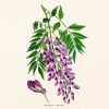 Falinaptár képes lemeznaptár 300x300mm, Herbarium Realsystem 2027.
