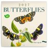 Falinaptár képes lemeznaptár 300x300mm, Butterflies Realsystem 2027.