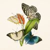 Falinaptár képes lemeznaptár 300x300mm, Butterflies Realsystem 2027.
