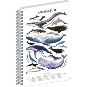   Jegyzetfüzet ikerspirálos Animalium – Marine Life, vonalas, 21x29,7cm A4, Presco
