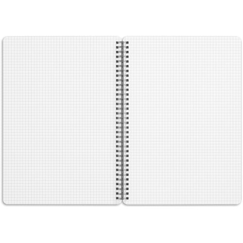 Jegyzetfüzet ikerspirálos Animalium – Felines, négyzethálós, 21x29,7cm A4, Presco