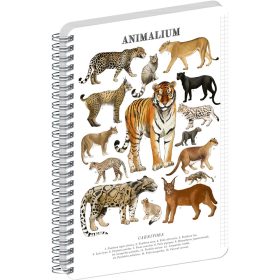   Jegyzetfüzet ikerspirálos Animalium – Felines, négyzethálós, 14,8x21cm A5, Presco