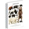 Jegyzetfüzet ikerspirálos Animalium – Bears, sima, 14,8x21cm A5, Presco